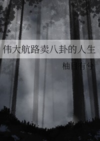 [海贼王同人] 伟大航路卖八卦的人生